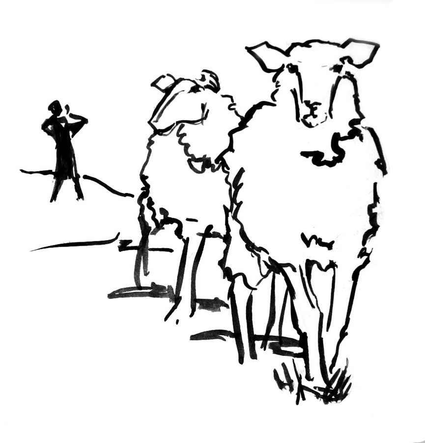 Read more about the article From the Desktop of the Pastor – Week of the 4th Sunday of Easter