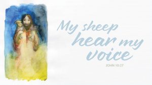 Read more about the article Sermon for the 4th Sunday of Easter
