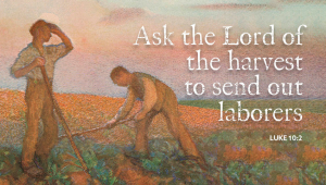 Sermon for the 4th Sunday after Pentecost