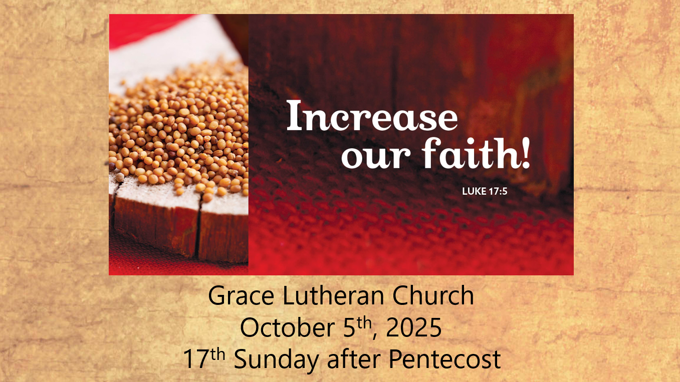 Read more about the article Worship Service for the 17th Sunday after Pentecost