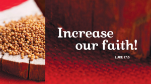 Read more about the article Sermon for the 17th Sunday after Pentecost