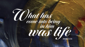 Read more about the article Sermon for Christmas Day