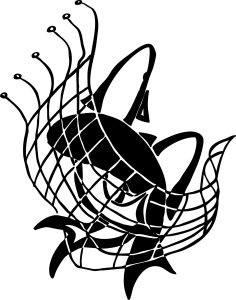 Read more about the article From the Desktop of the Pastor – Week of the 3rd Sunday after the Epiphany 2026