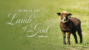 Read more about the article Sermon for the 2nd Sunday after the Epiphany