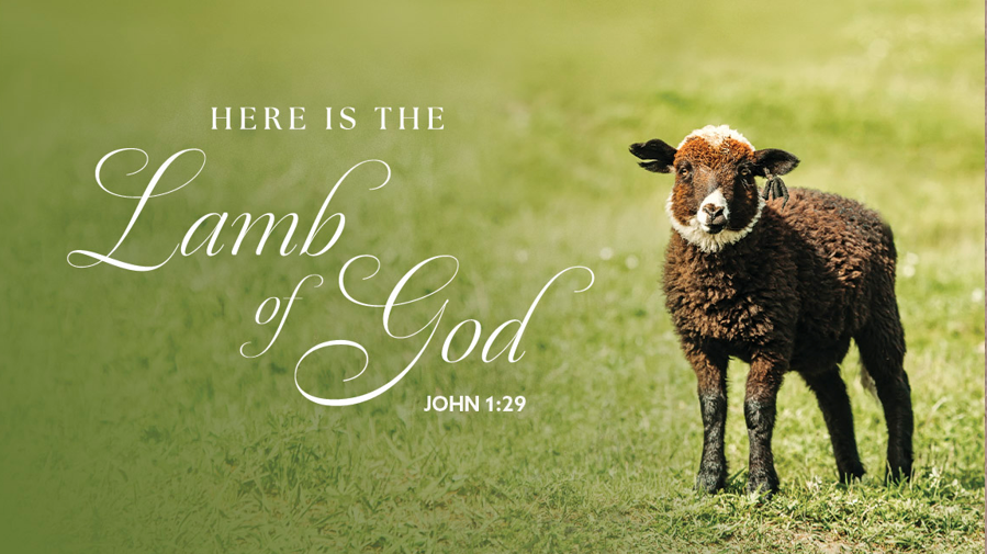 Read more about the article Sermon for the 2nd Sunday after the Epiphany