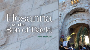 Sermon for Palm/Passion Sunday