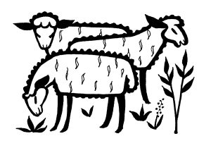 Read more about the article From the Desktop of the Pastor – Week of the 4th Sunday of Easter