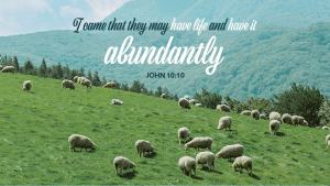 Sermon for the 4th Sunday of Easter