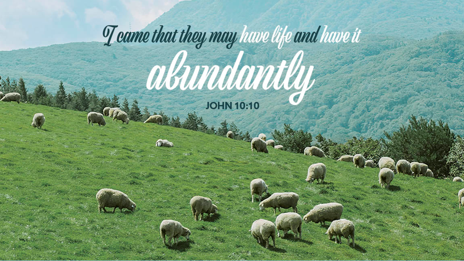 You are currently viewing Sermon for the 4th Sunday of Easter