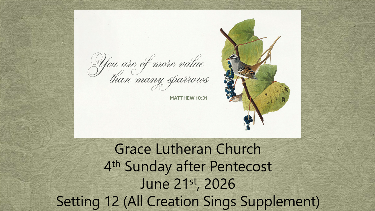 Read more about the article Worship Service for the 4th Sunday after Pentecost