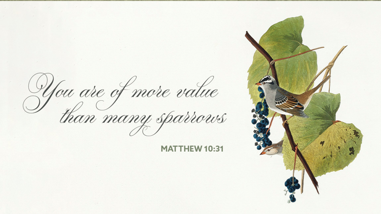 You are currently viewing Sermon for the 4th Sunday after Pentecost
