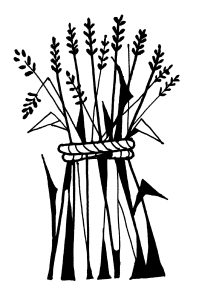 Read more about the article From the Desktop of the Pastor – Week of the 8th Sunday after Pentecost