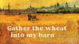 Read more about the article Sermon for the 8th Sunday after Pentecost